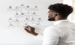 Human Resources Management & Development and Employment Law - HR Training Courses